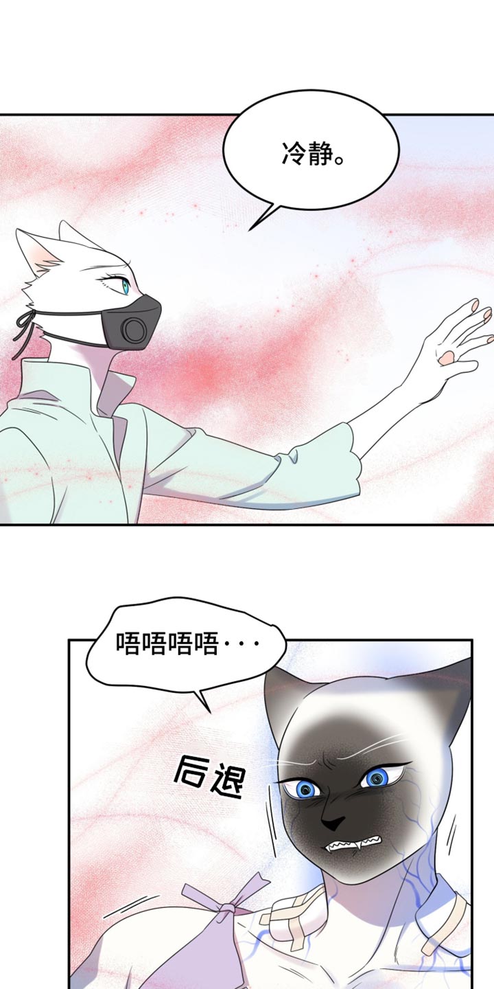 欧米伽3对猫的作用漫画,第130话2图