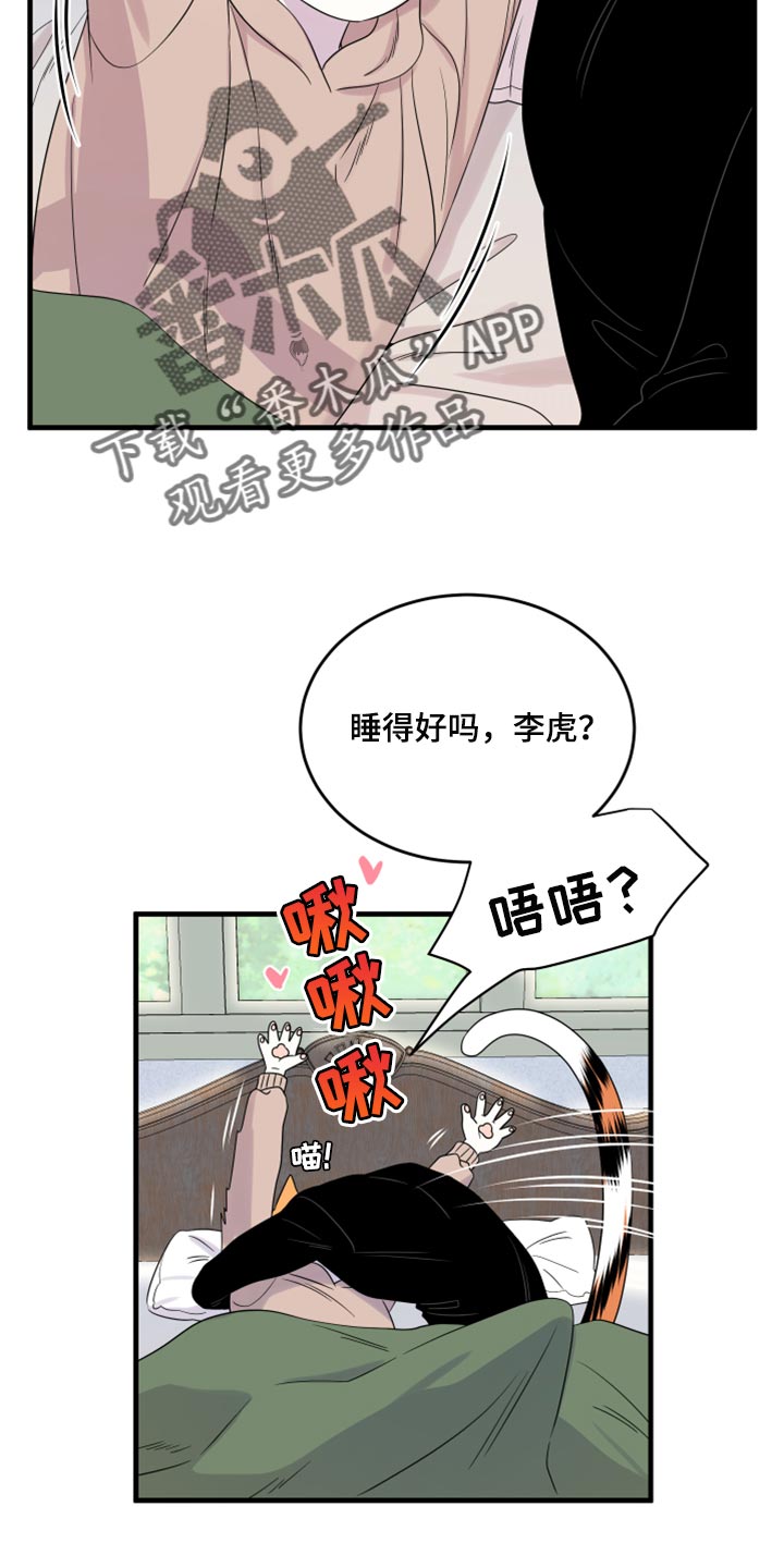 灵猫欧米伽漫画在哪里看漫画,第87话2图