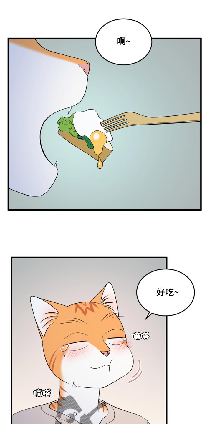 灵猫欧米伽漫蛙叫什么漫画,第67话1图