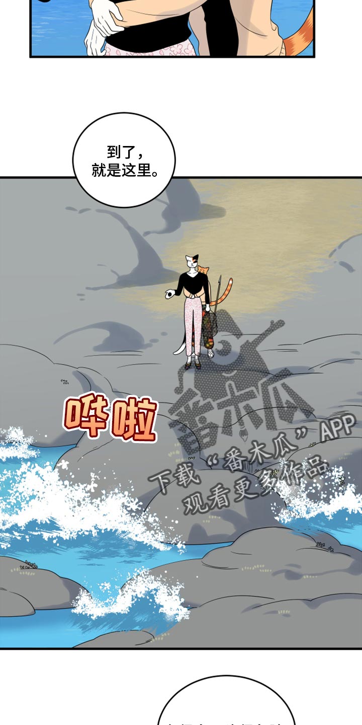 灵猫欧米伽高清漫画,第67话2图