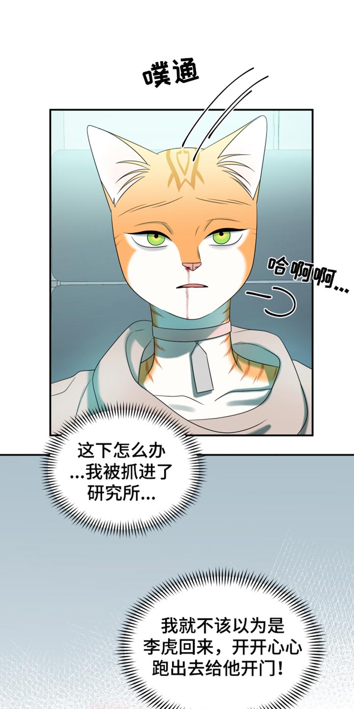 灵猫小说漫画,第120话1图