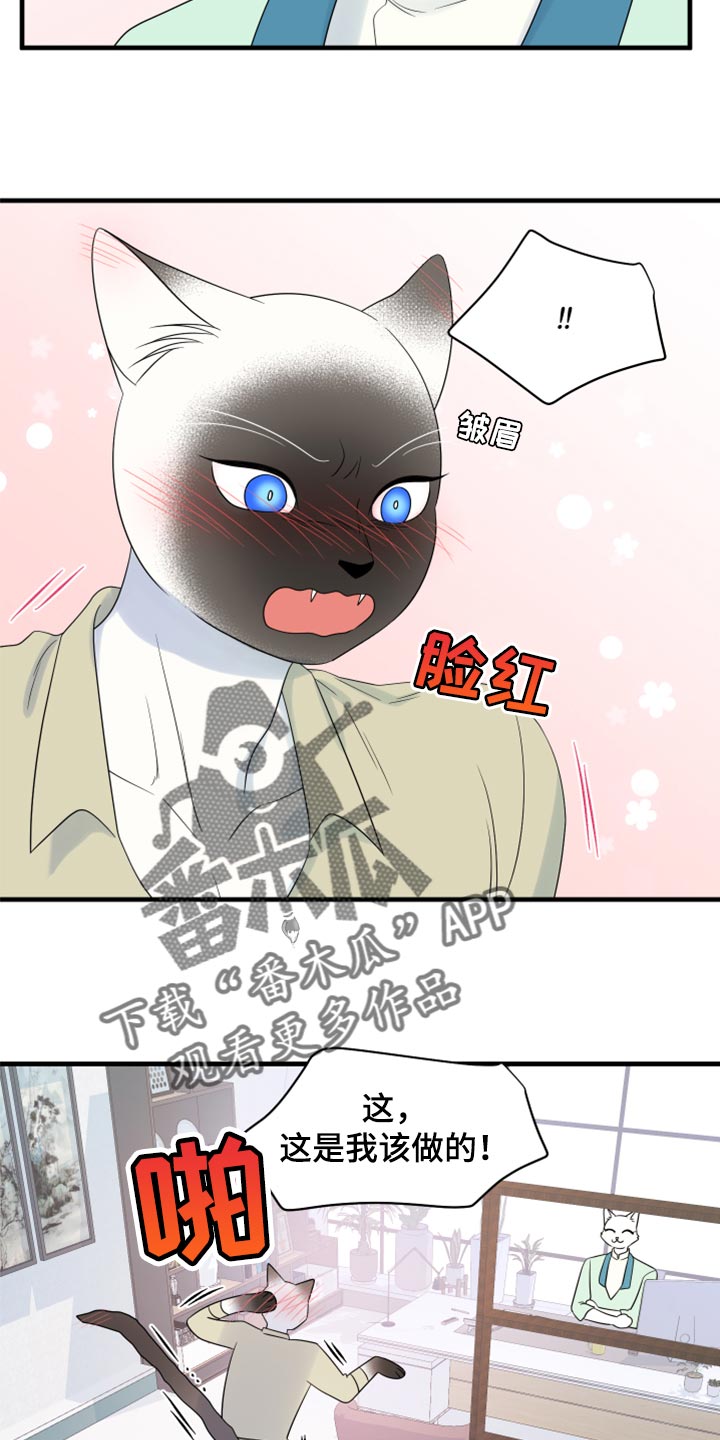 灵猫欧米伽漫画,第65话2图