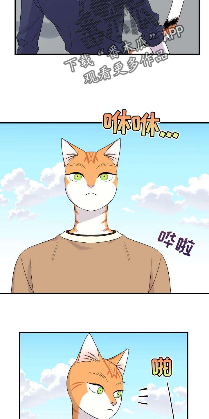 灵猫欧米伽在哪里免费看漫画,第96话2图