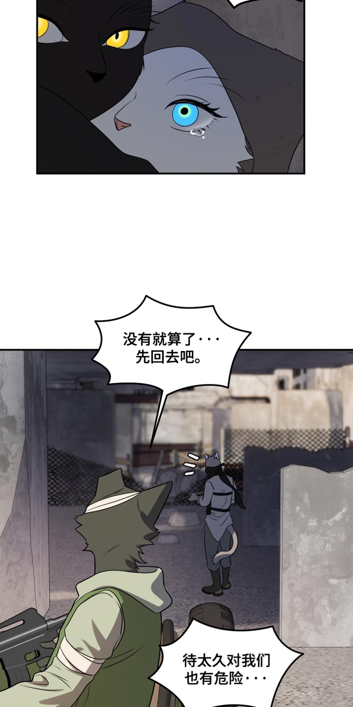 灵猫欧米伽漫蛙叫什么漫画,第137话2图