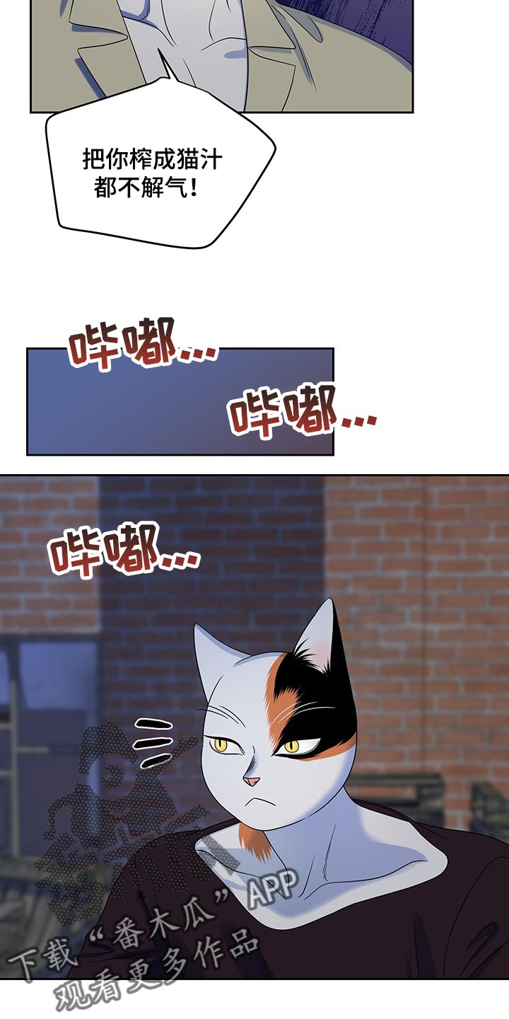 灵猫是什么动物漫画,第39话1图