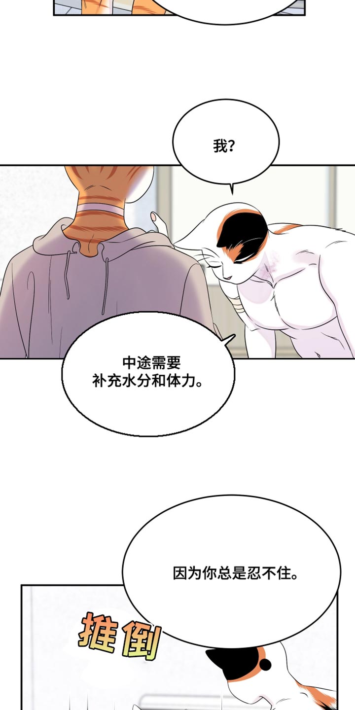 灵猫欧米伽免费阅读漫画,第168话2图