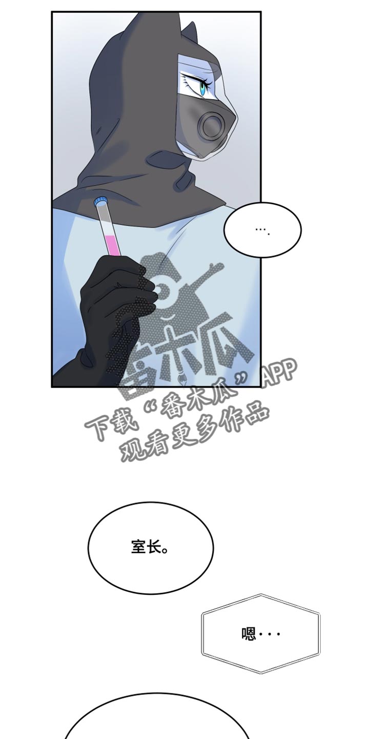 欧米伽3对猫的作用漫画,第165话2图