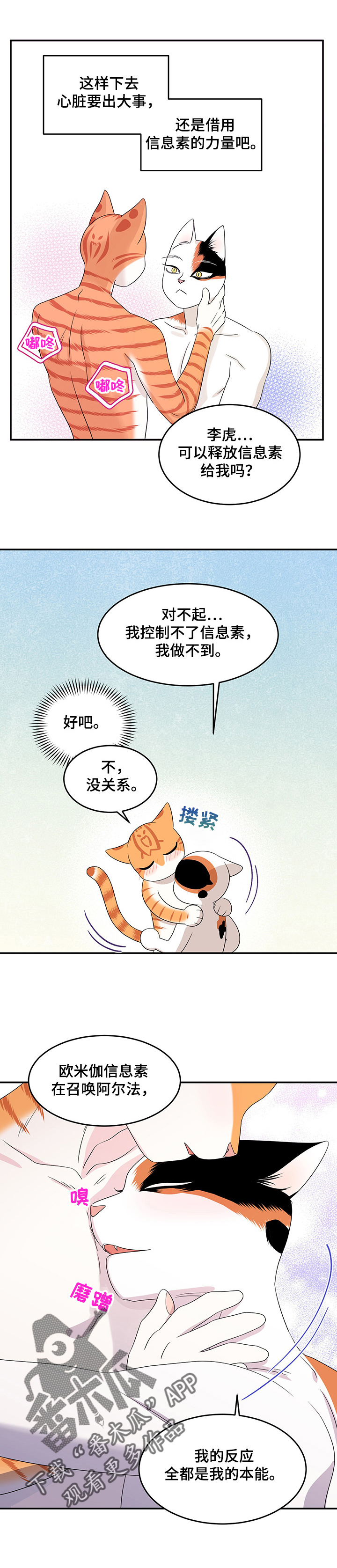 灵猫欧米伽免费阅读漫画,第13话1图