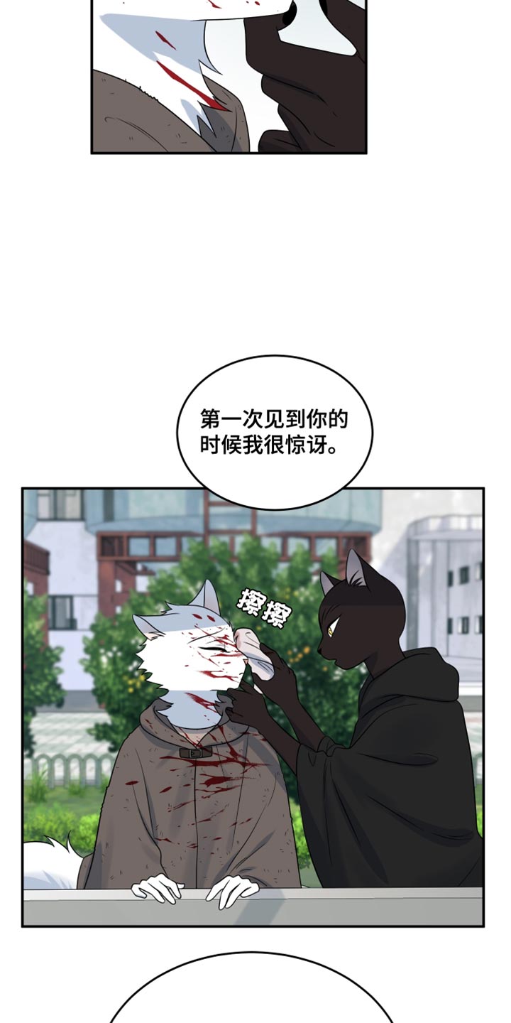 灵猫小说漫画,第141话2图