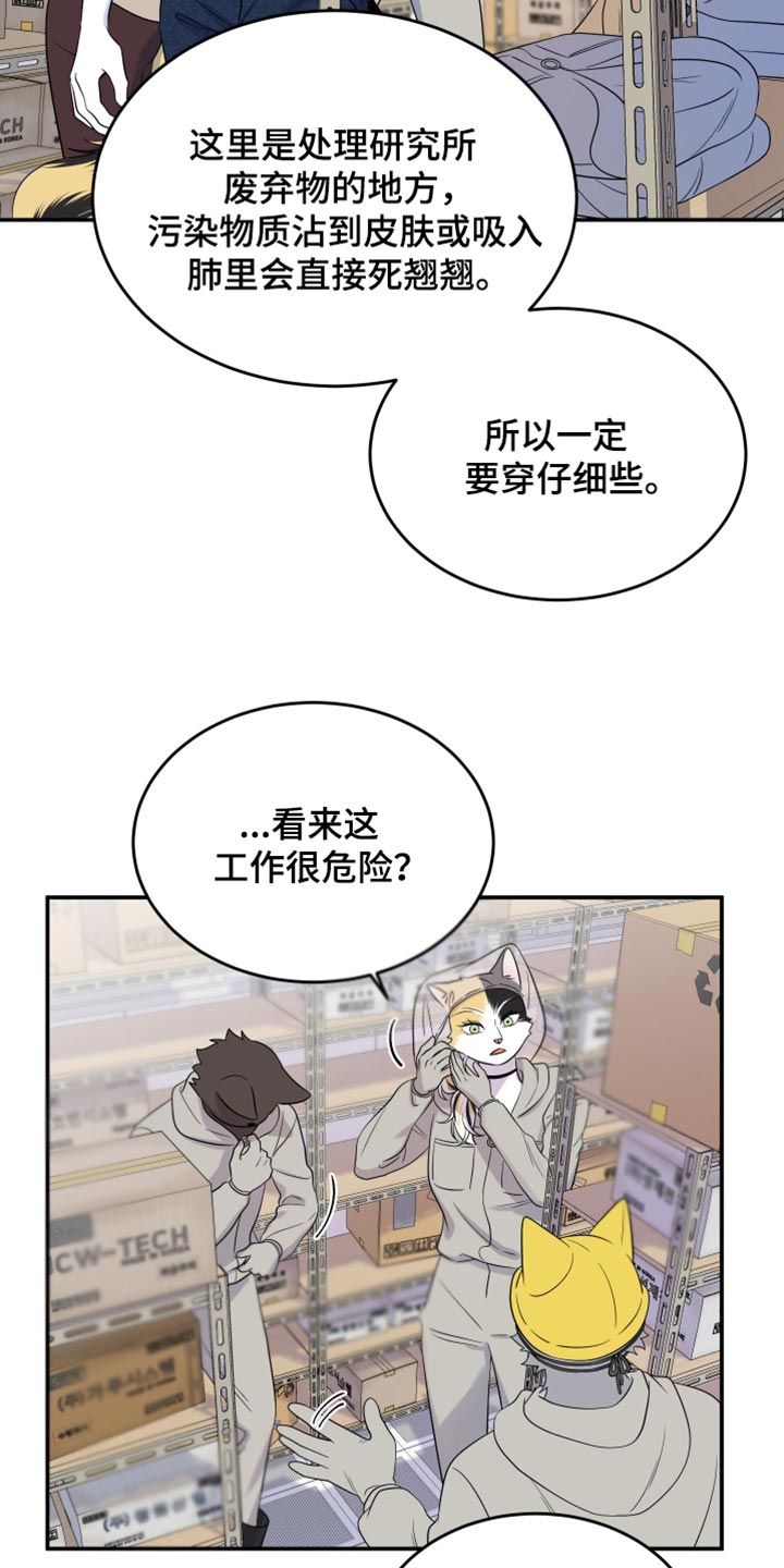 灵猫是什么动物漫画,第123话2图