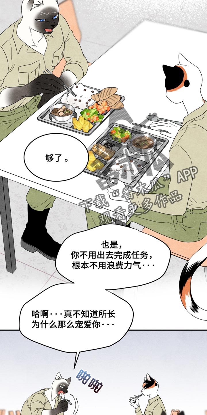 灵猫欧米伽漫画,第159话1图