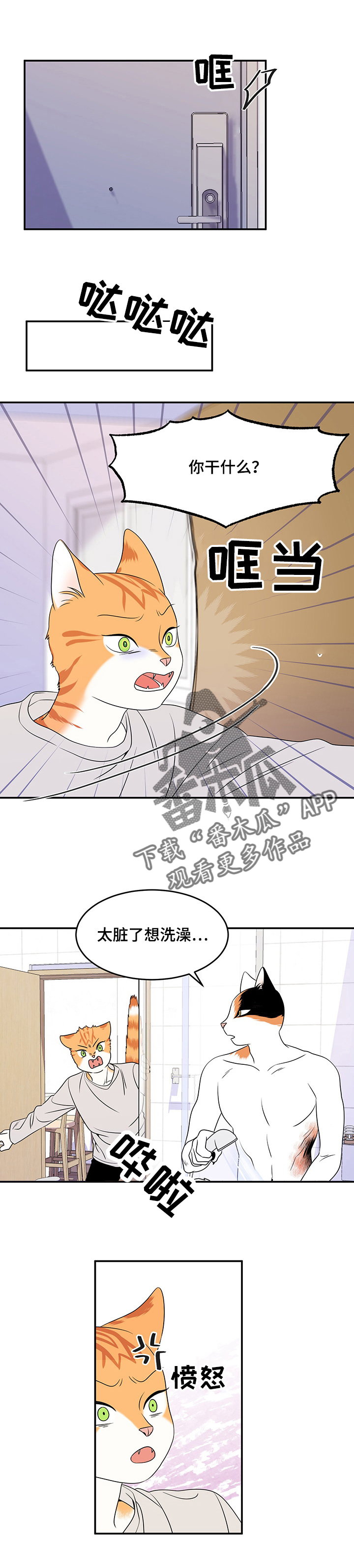 灵猫欧米伽最新话漫画,第5话2图