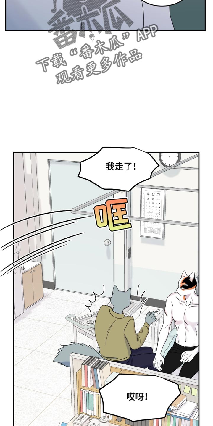 灵猫欧米伽完整版漫画,第114话1图