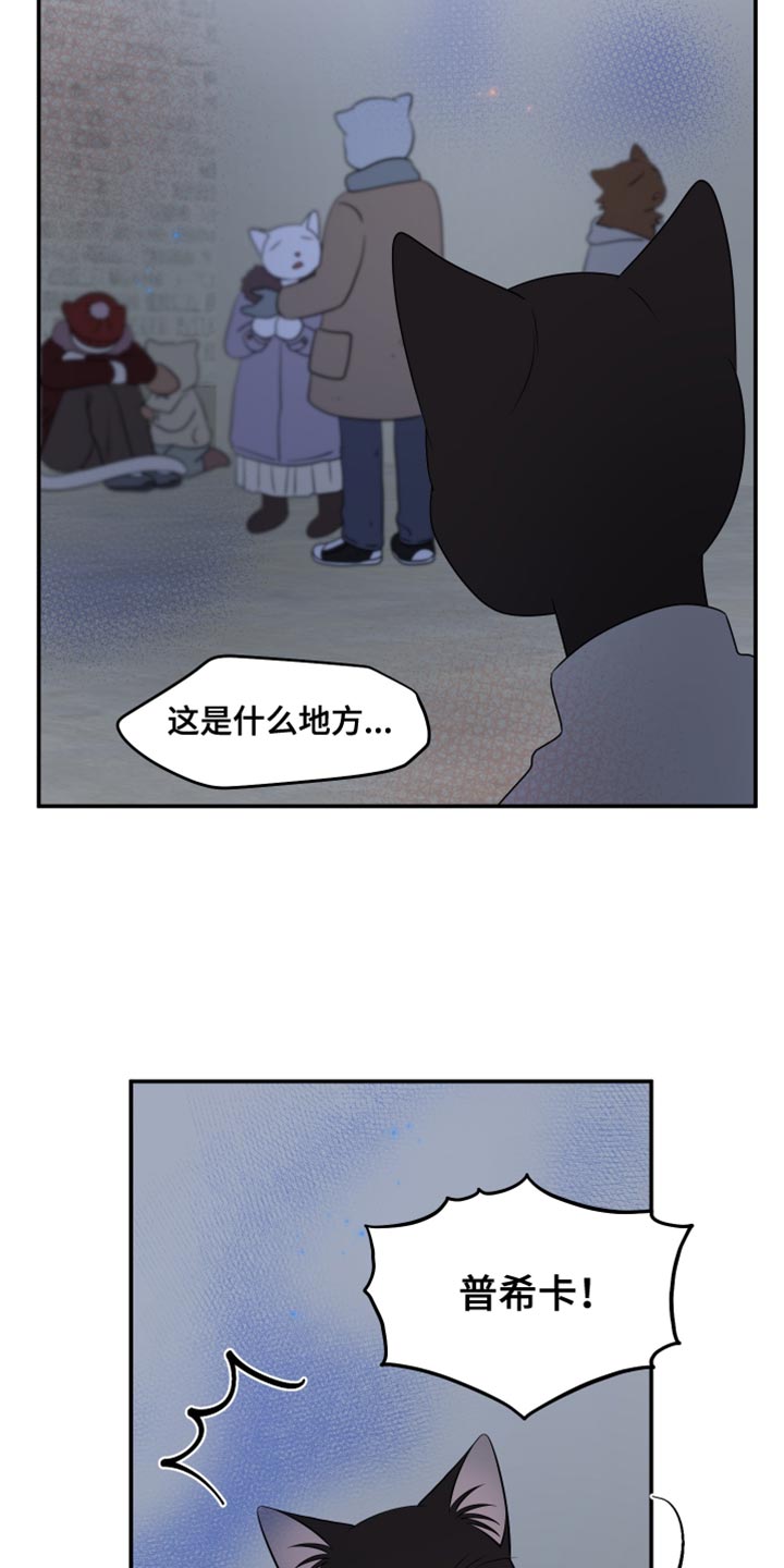 灵猫传陆知也漫画,第148话2图