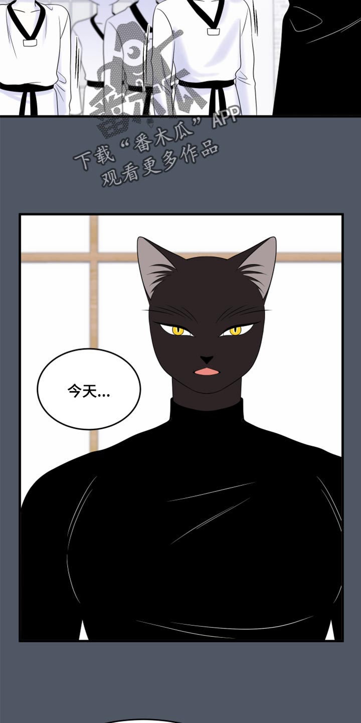 灵猫欧米伽高清漫画,第76话1图