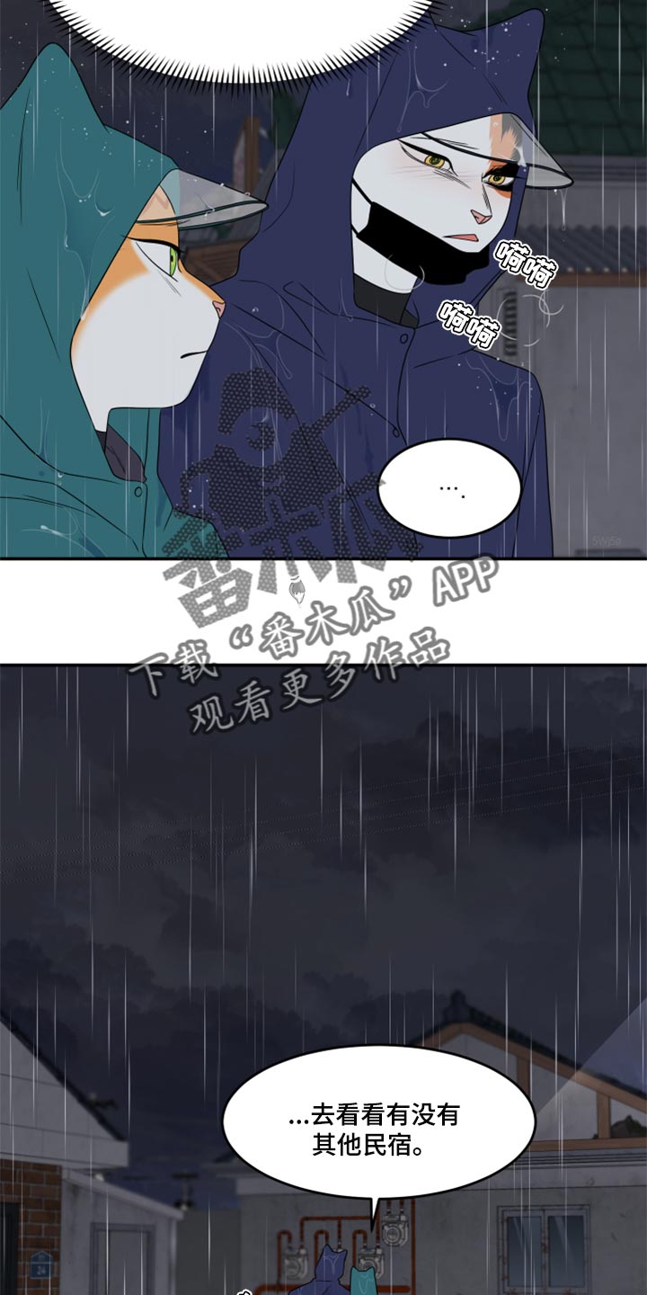 灵猫欧米伽2漫画,第54话2图