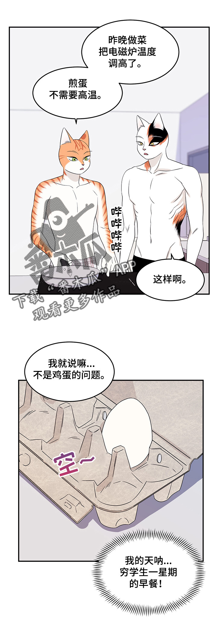 灵猫欧米伽漫画在哪里看漫画,第14话2图