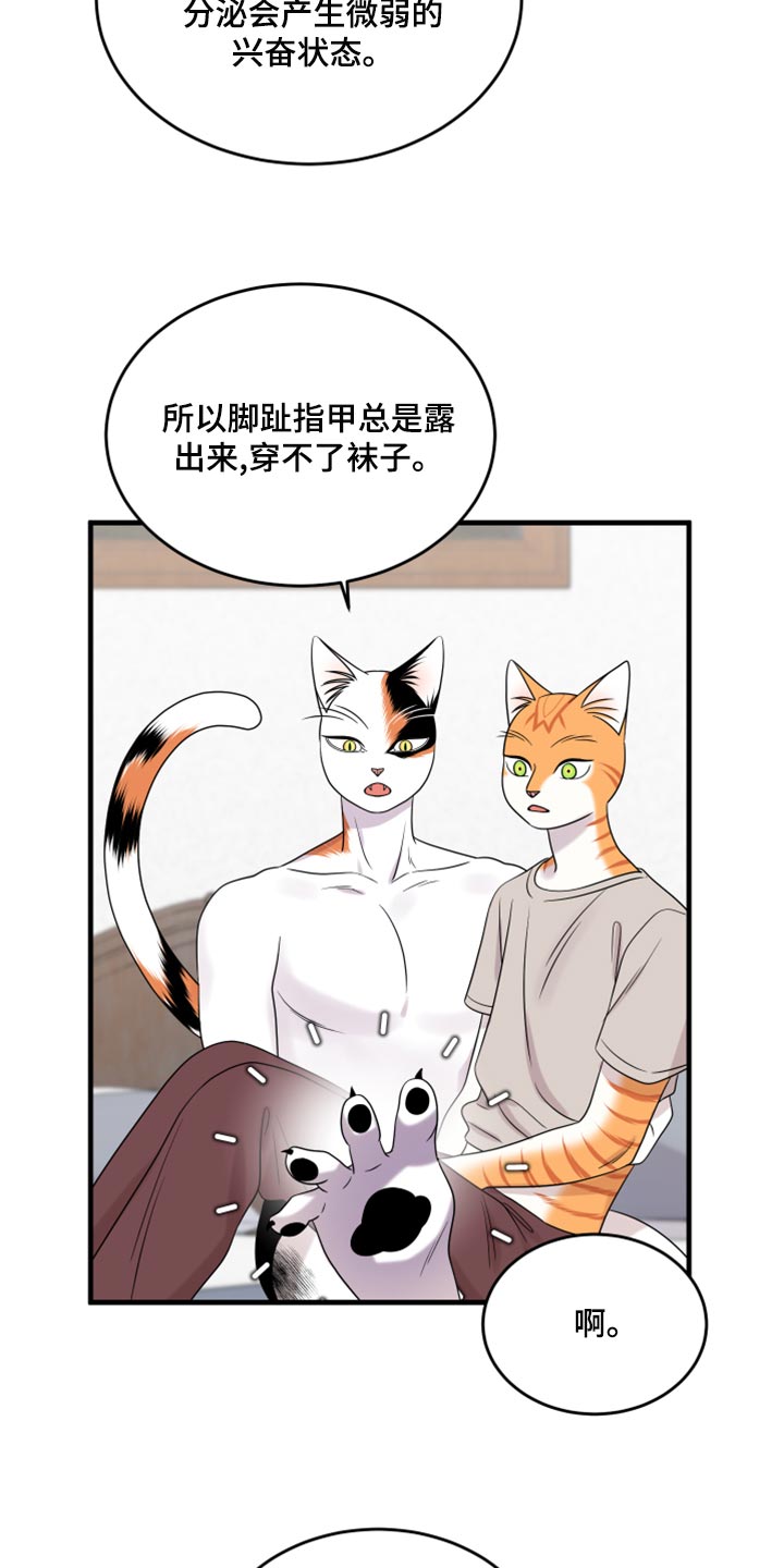 灵猫是什么动物漫画,第91话1图