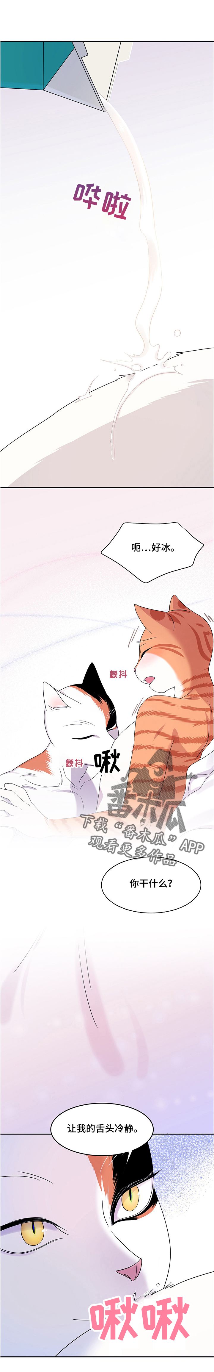 漫画灵猫欧米伽漫画,第12话2图