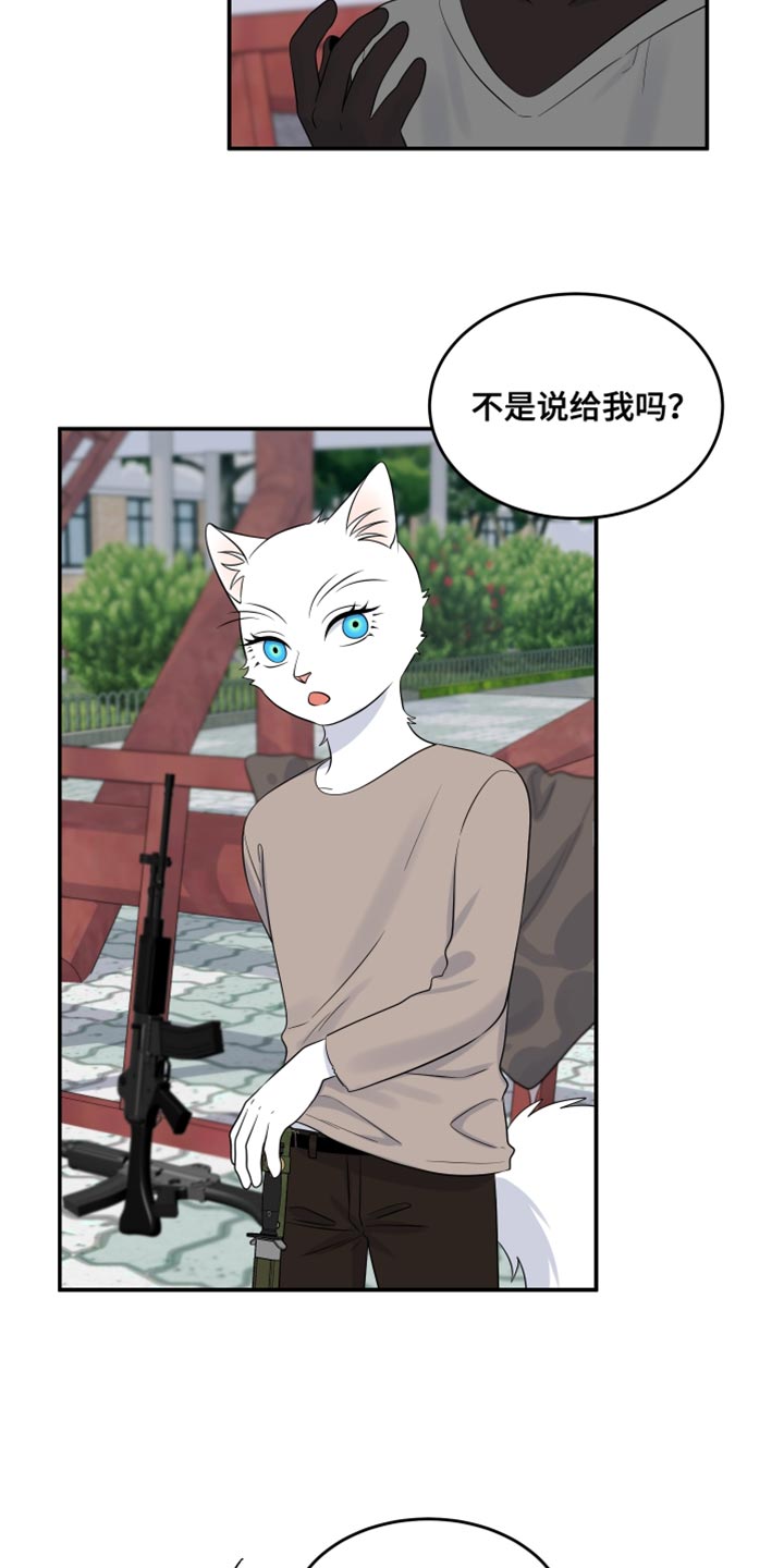 灵猫传汪苏泷漫画,第142话1图