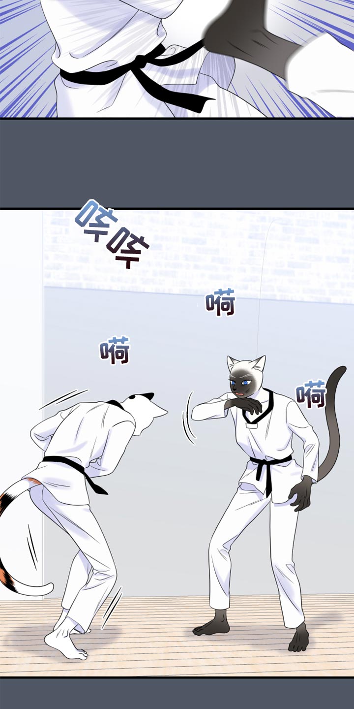 灵猫欧米伽漫画全集免费下拉式漫画,第76话1图