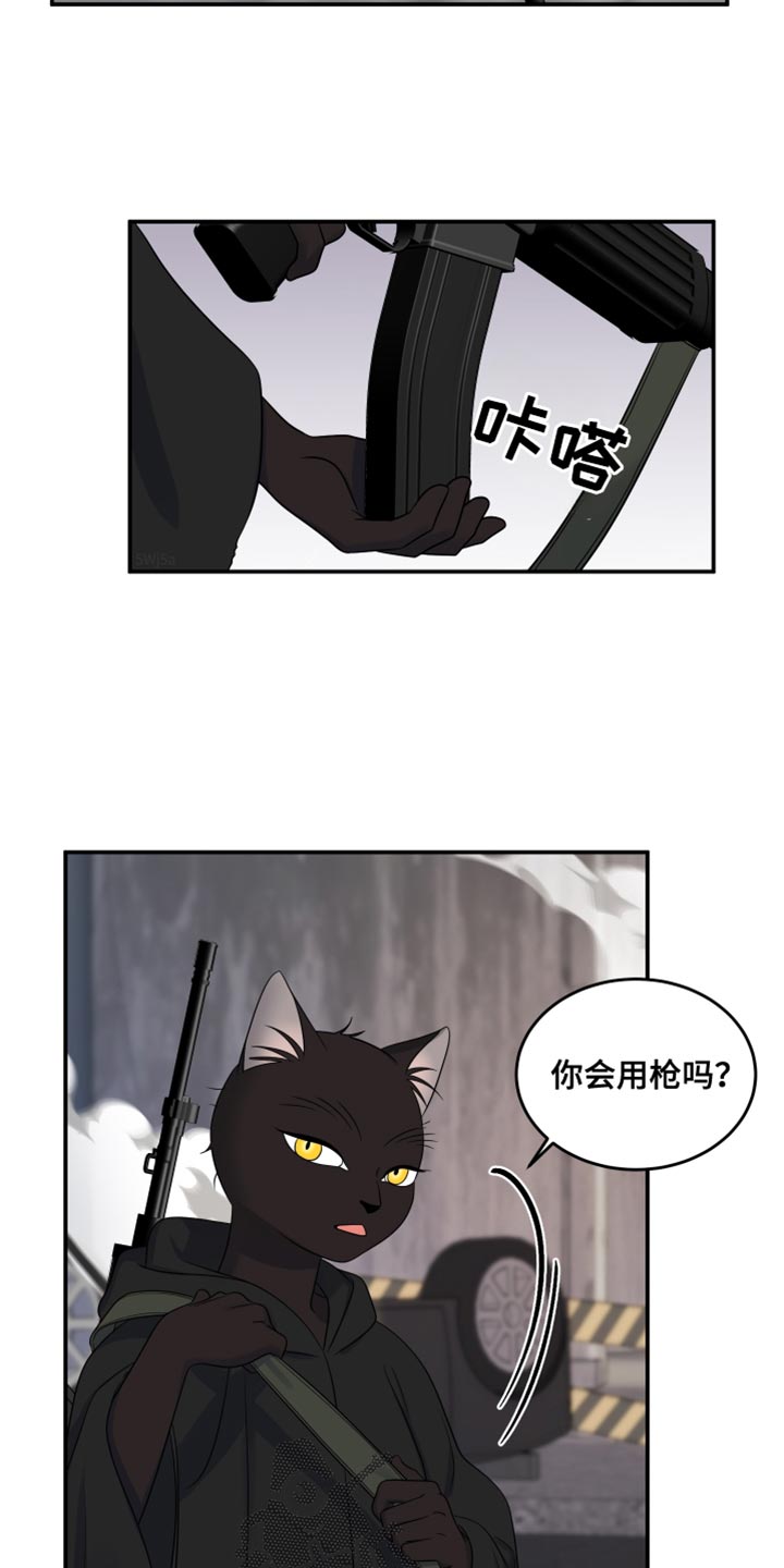 灵猫欧米伽免费版在哪里看漫画,第137话2图