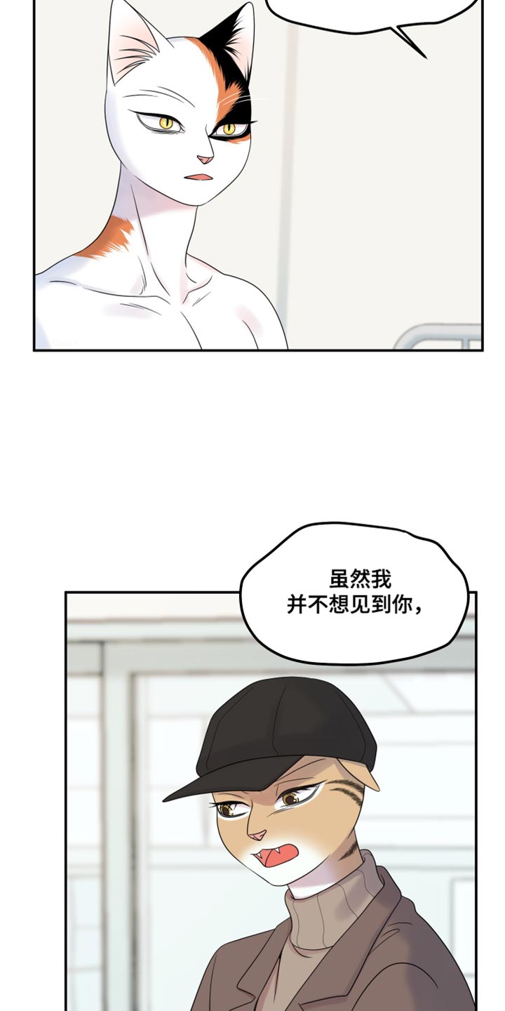 灵猫欧米伽漫画下拉漫画,第114话1图