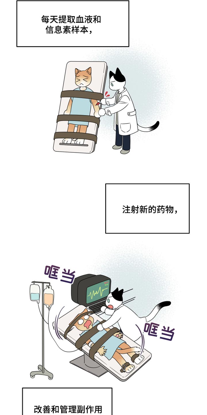 灵猫欧米伽是什么意思漫画,第57话2图