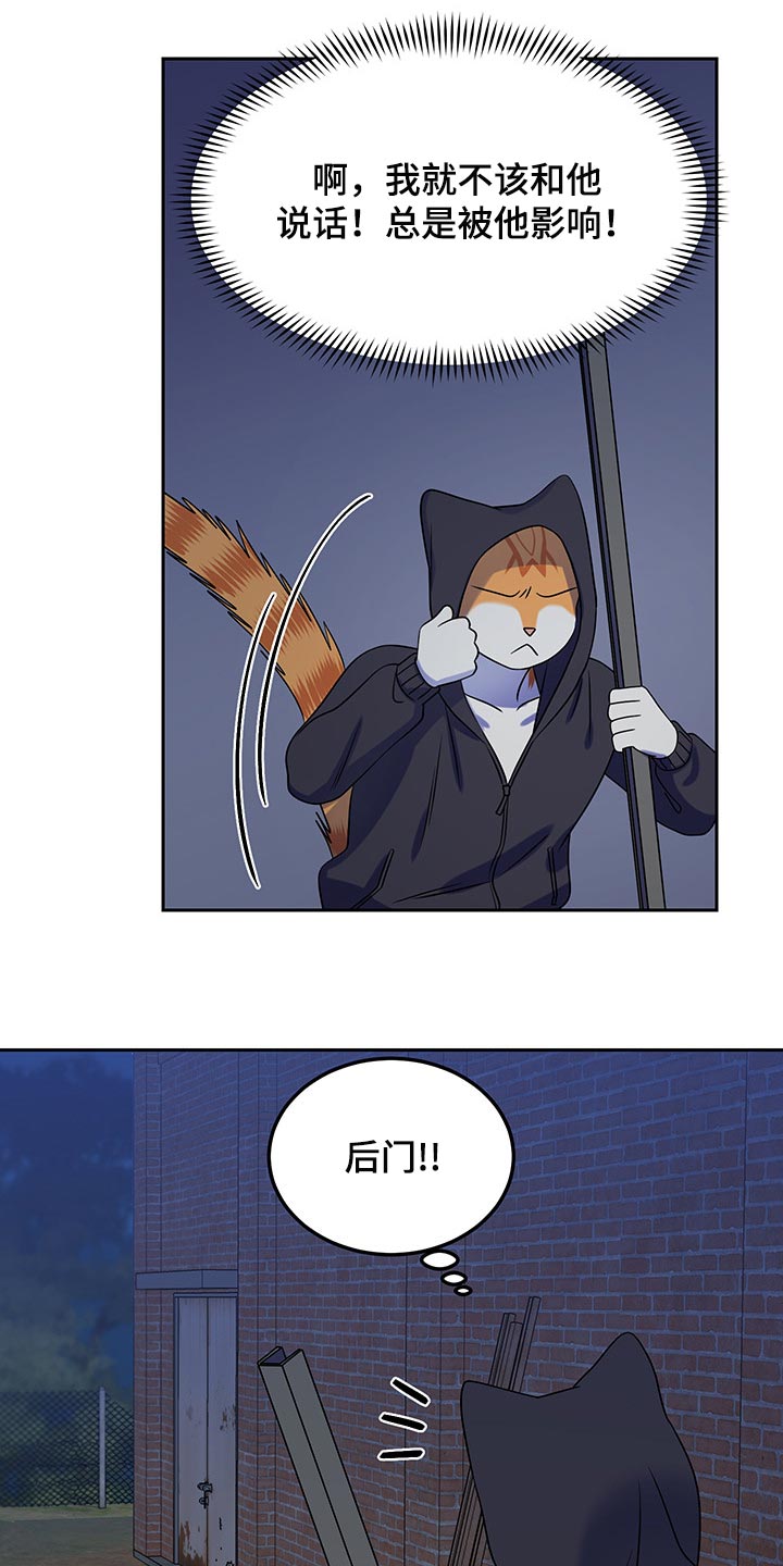 灵猫欧米伽免费版在哪里看漫画,第36话2图