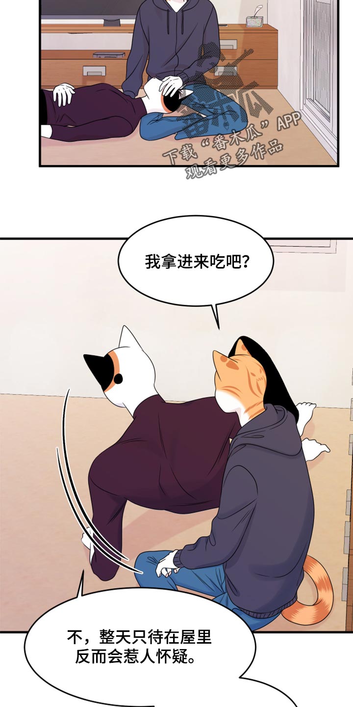 灵猫欧米伽漫画全集免费下拉式漫画,第58话2图