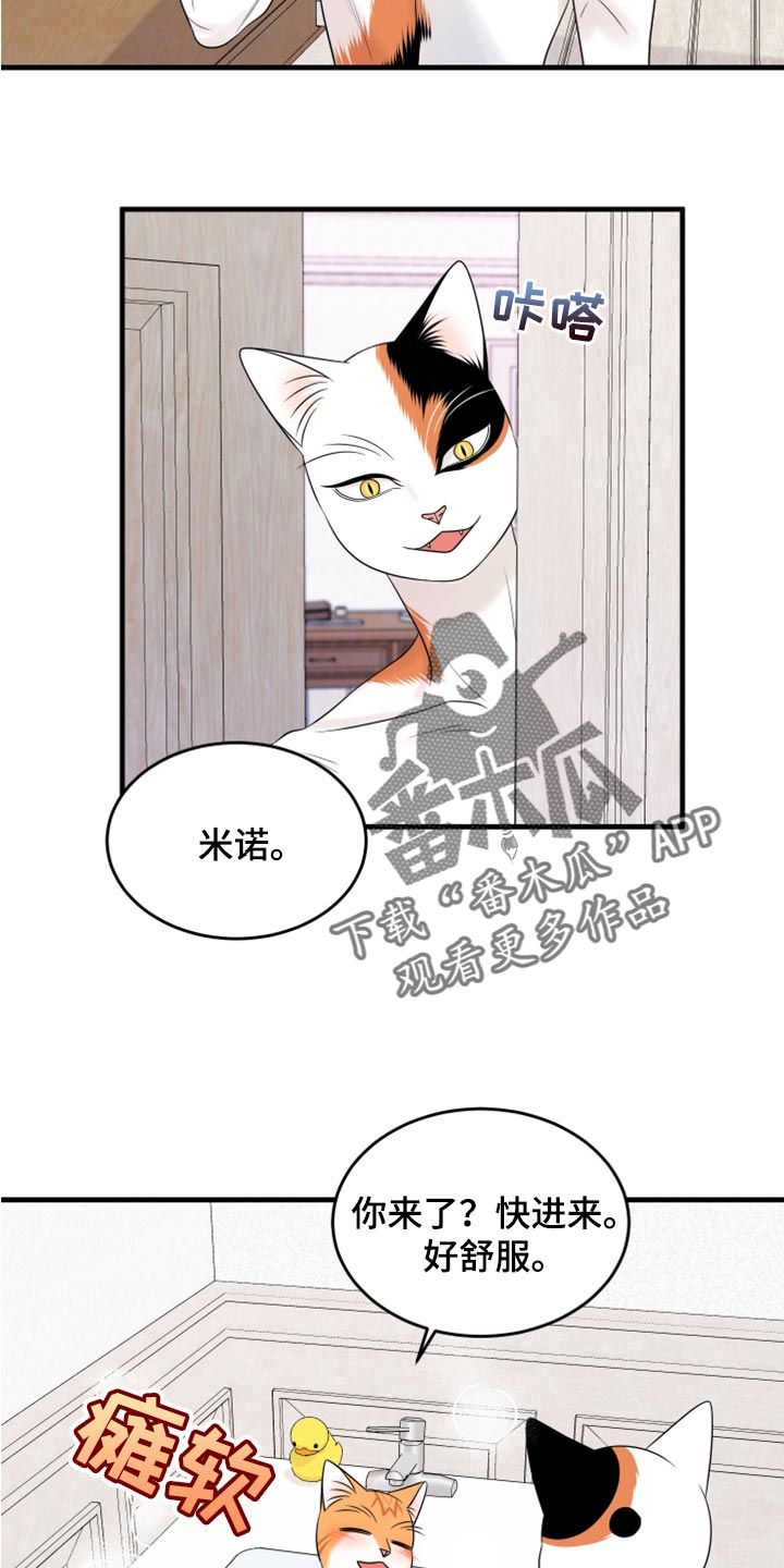 灵猫欧米伽免费阅读漫画,第69话1图