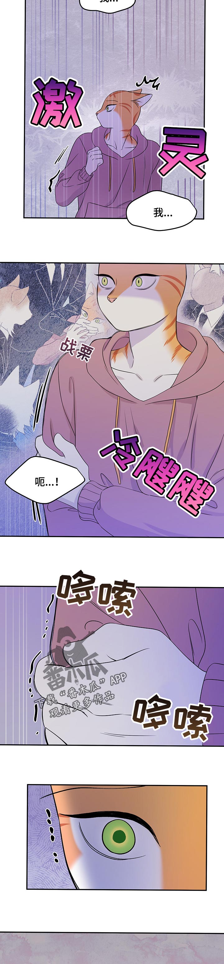 灵猫欧米伽免费阅读漫画,第30话1图