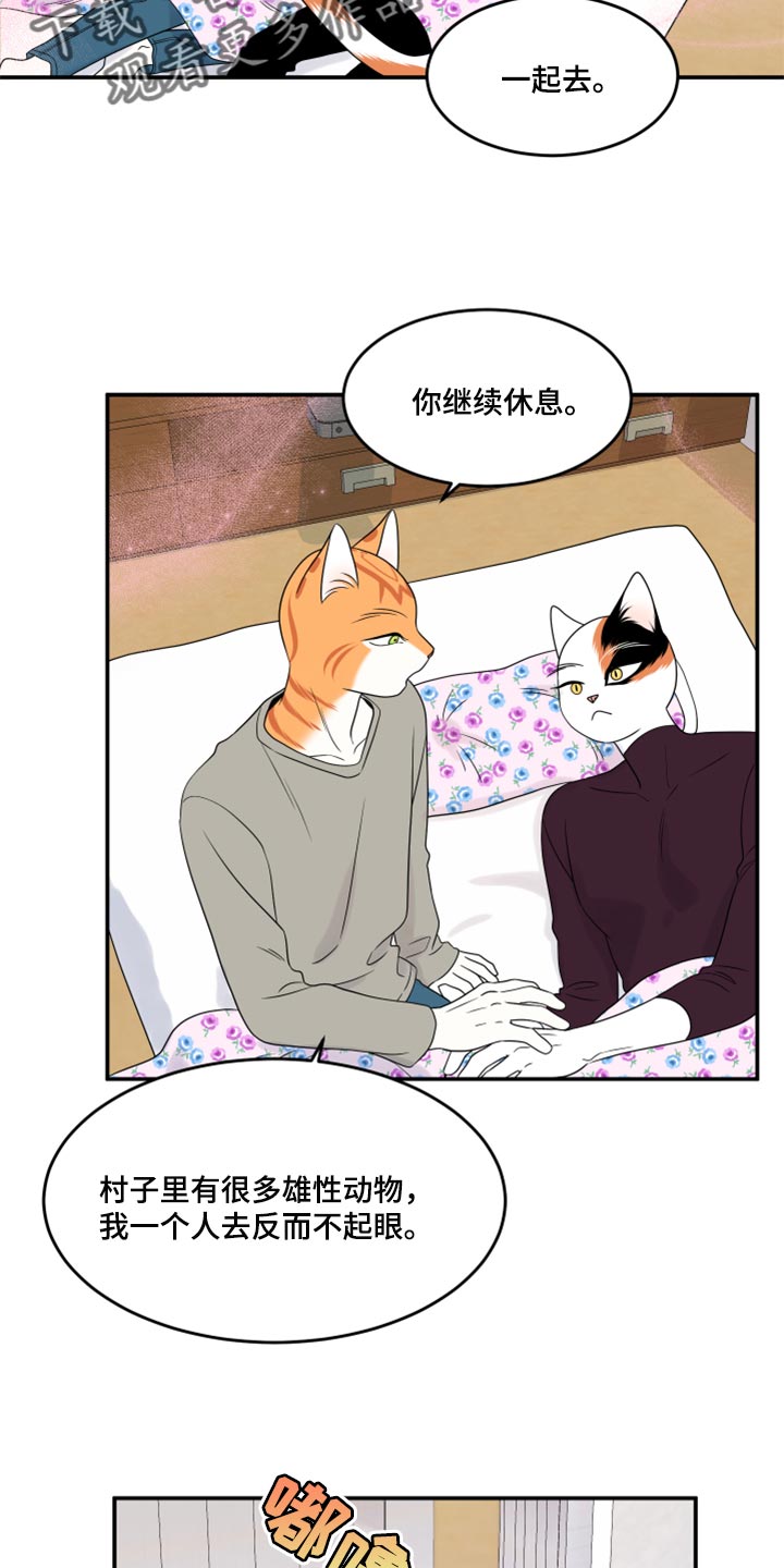 灵猫欧米伽免费阅读漫画,第54话2图