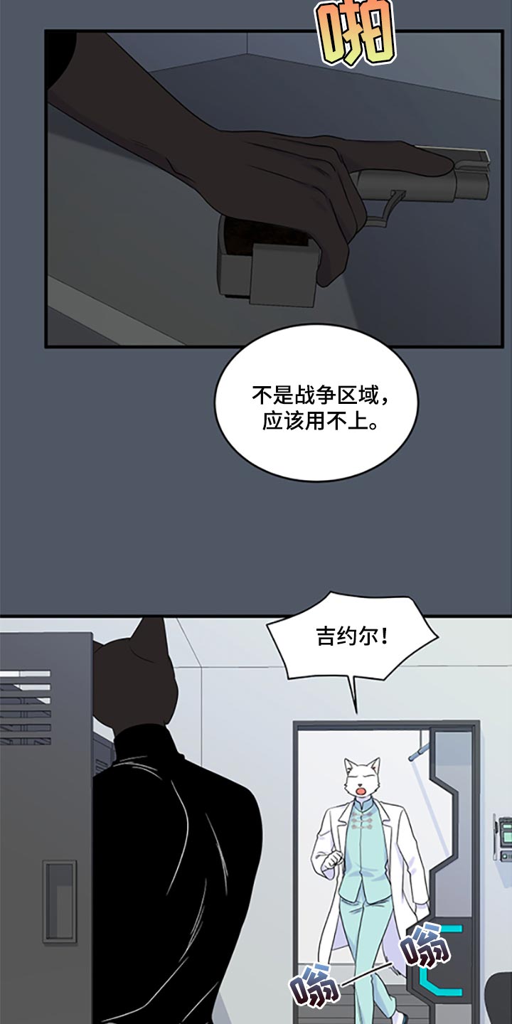 灵猫欧米伽完整版漫画,第78话1图