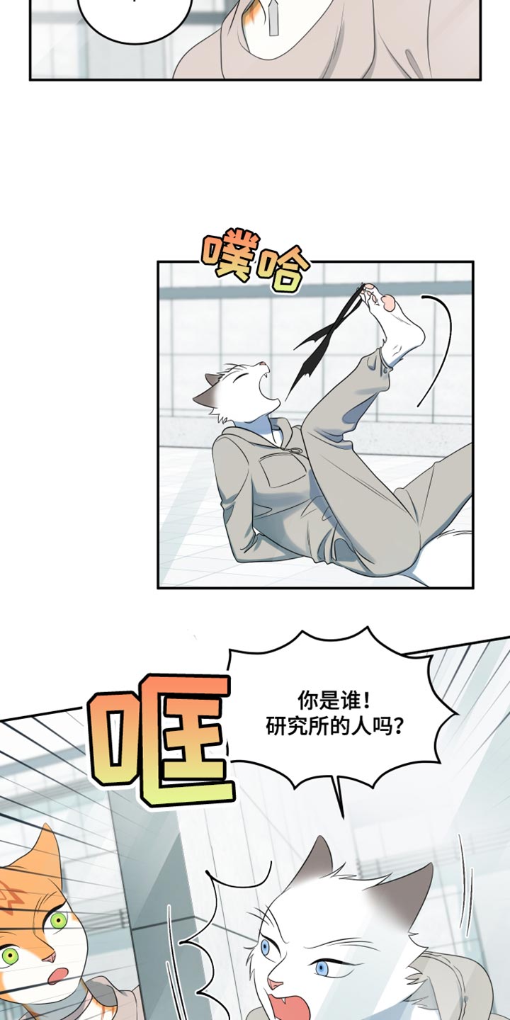 灵猫欧米伽2漫画,第134话2图