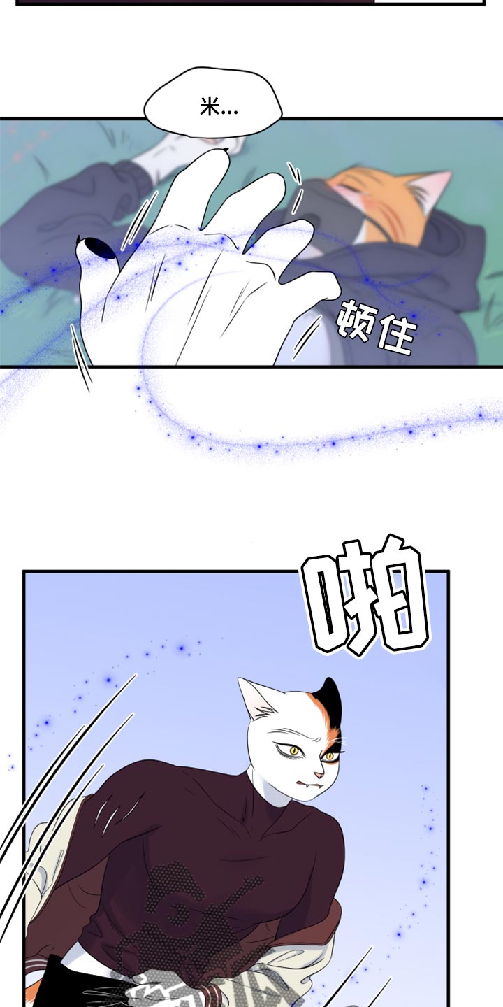 灵猫苏苏漫画,第65话2图