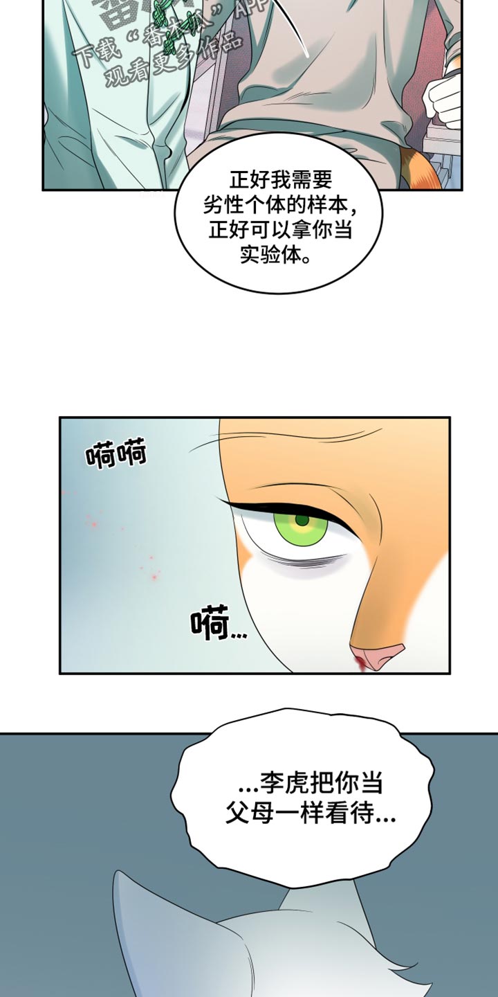 灵猫欧米伽是双男主吗漫画,第119话2图