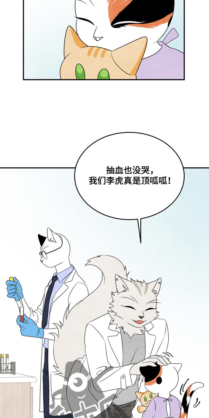 灵猫欧米伽完整版漫画,第158话1图