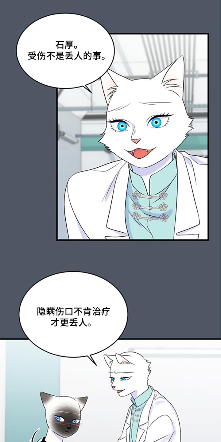 灵猫欧米伽漫画全集免费下拉式漫画,第77话1图