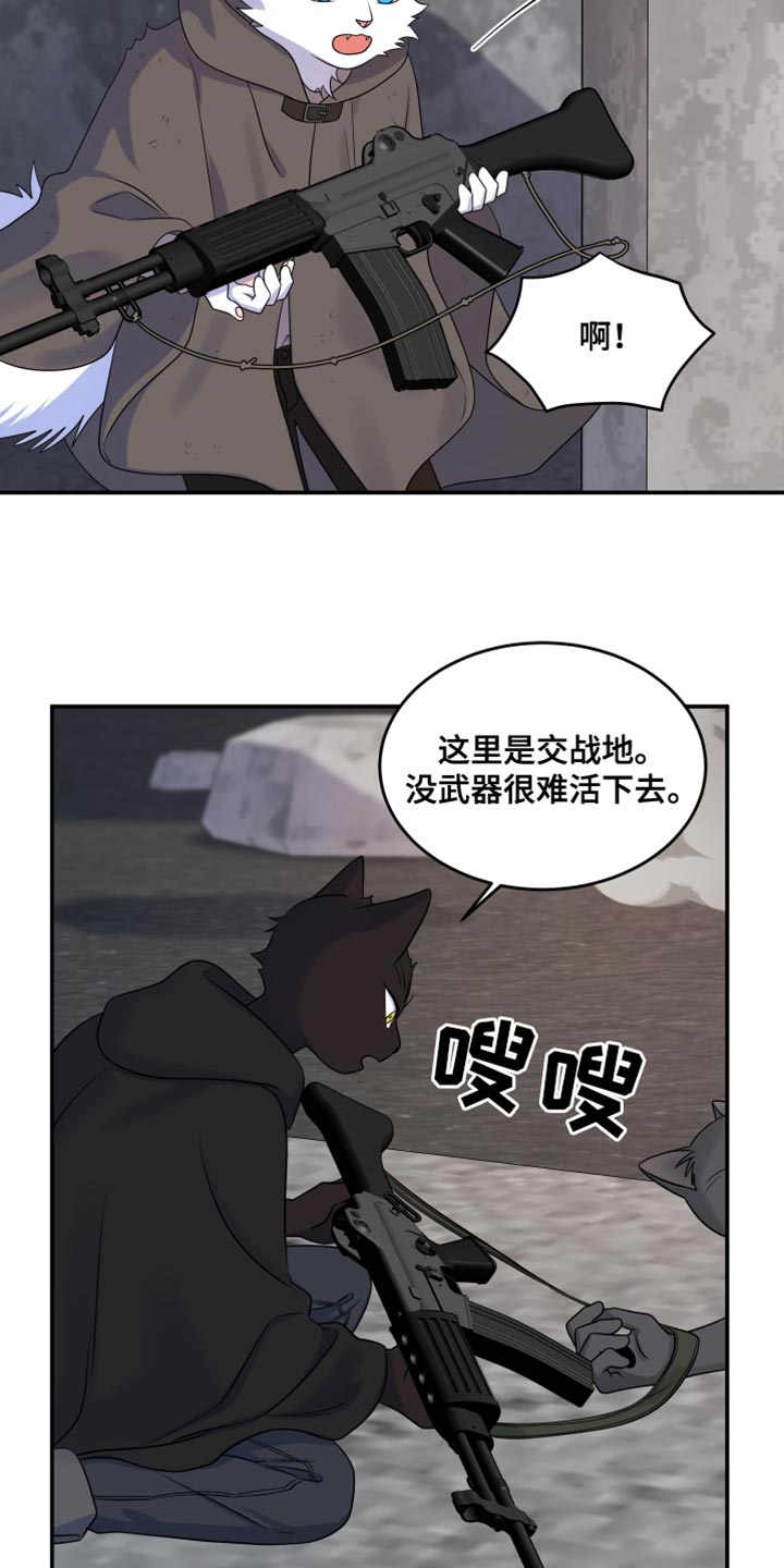 灵猫传攻略漫画,第137话1图