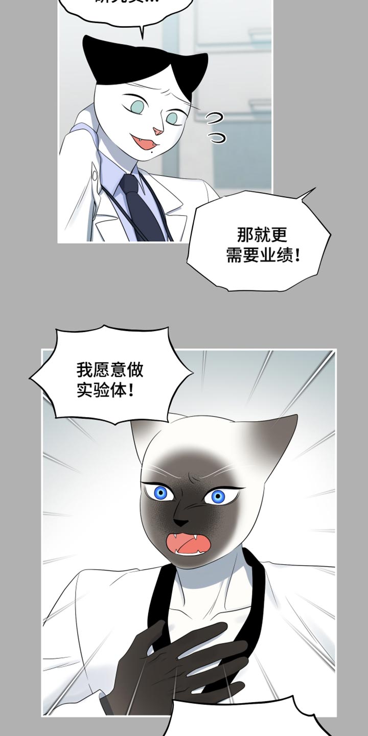 灵猫欧米伽免费阅读漫画,第122话1图