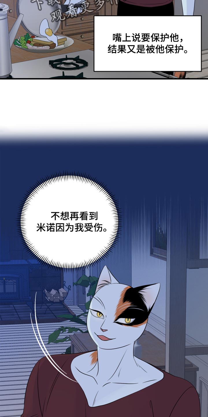 灵猫欧米伽免费漫画,第66话1图