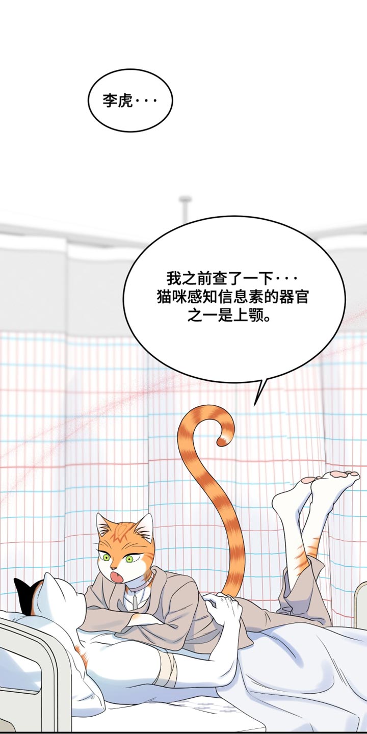 灵猫欧米伽漫画,第167话2图