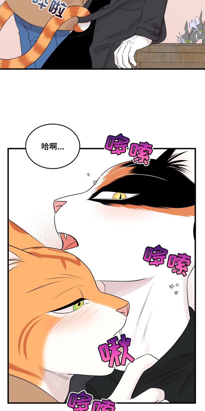 灵猫传手游漫画,第104话1图