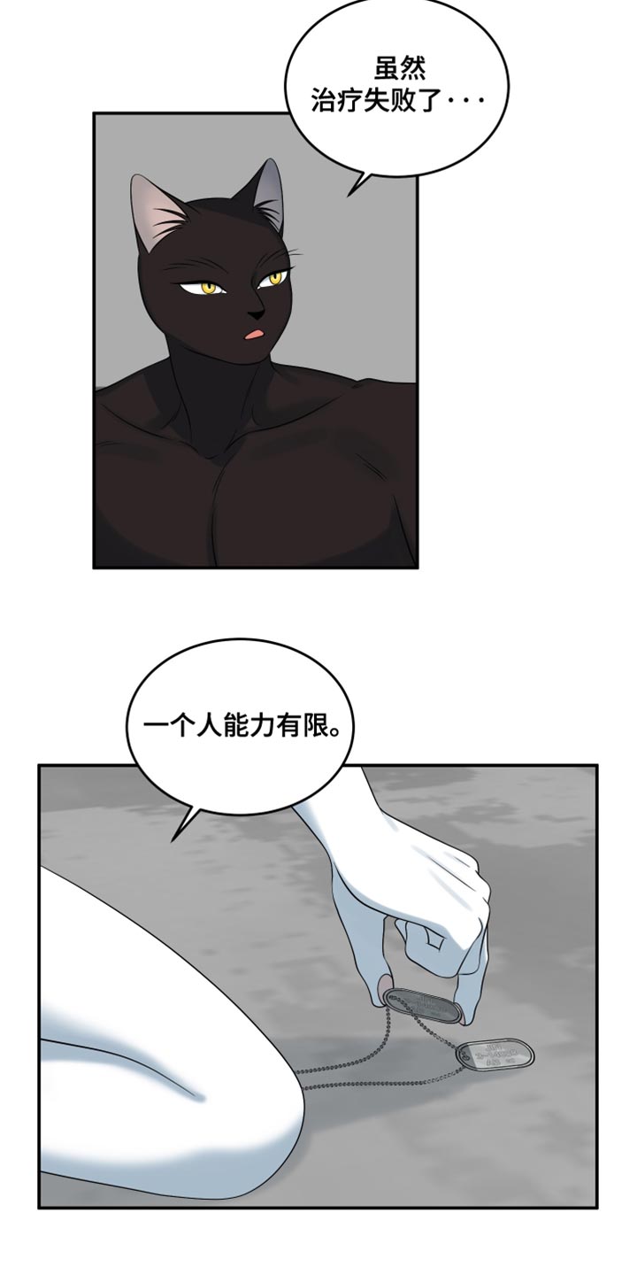 灵猫小说漫画,第153话2图