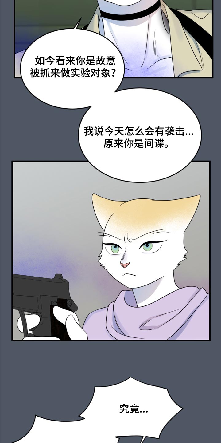 灵猫传下载漫画,第84话1图