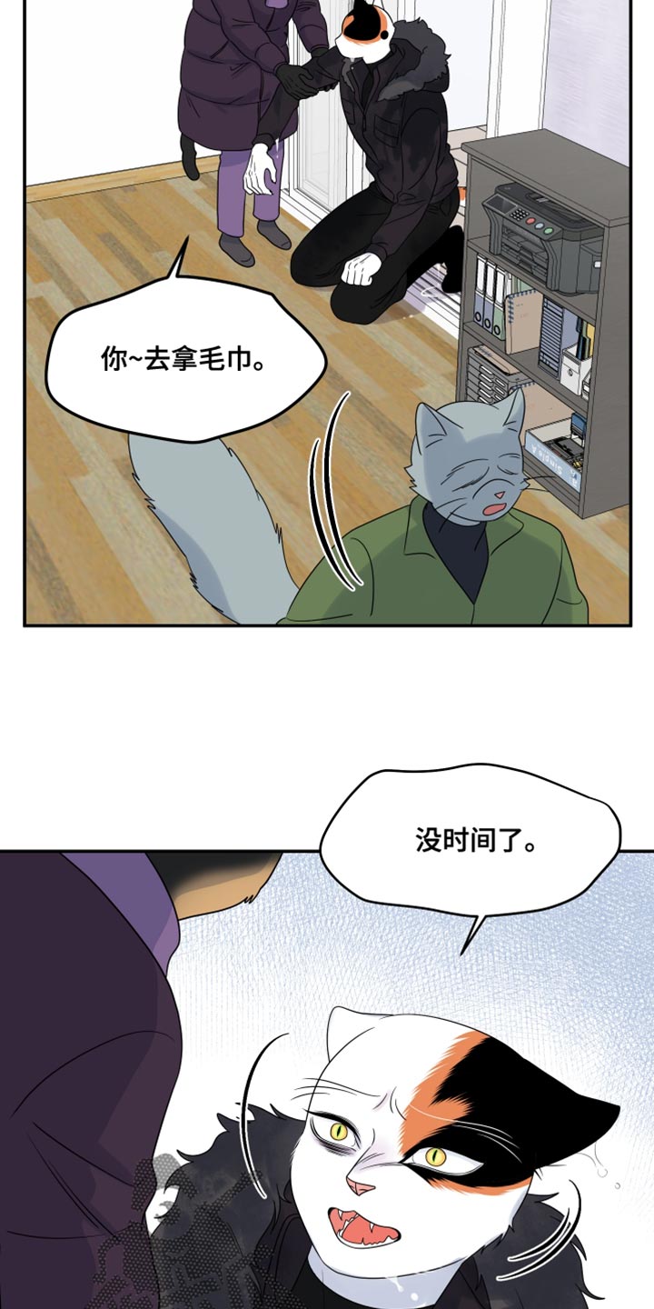 灵猫欧米伽漫画免费观看下拉式漫画,第111话2图