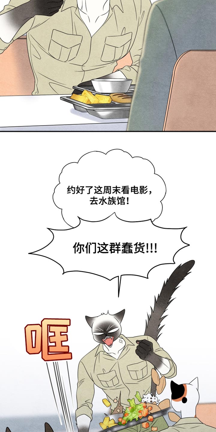 灵猫欧米伽最新话漫画,第159话1图