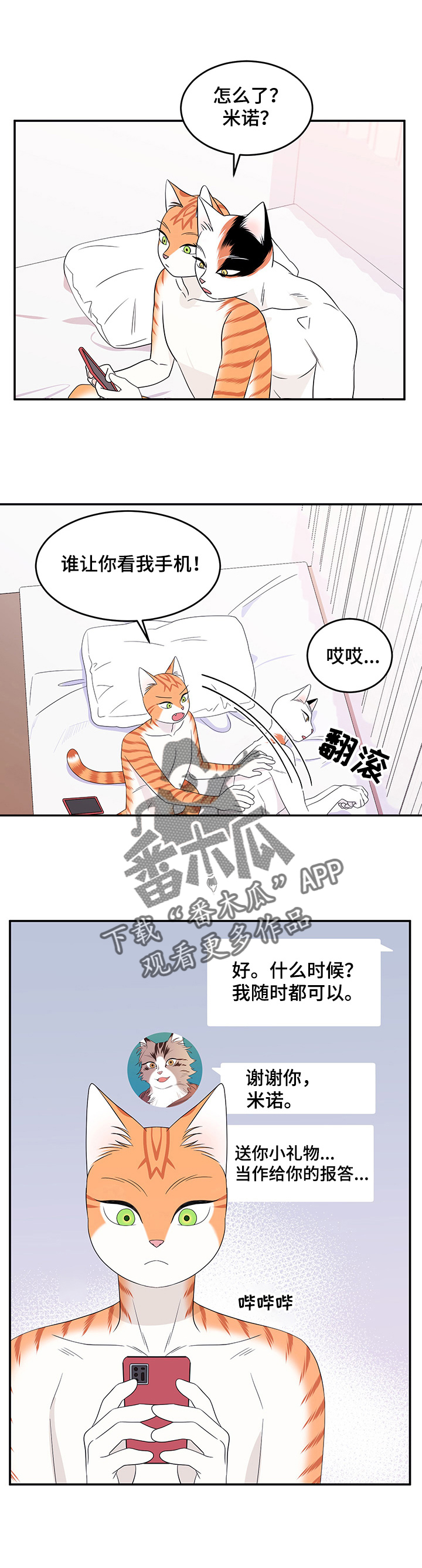 灵猫欧米伽免费阅读漫画,第15话2图