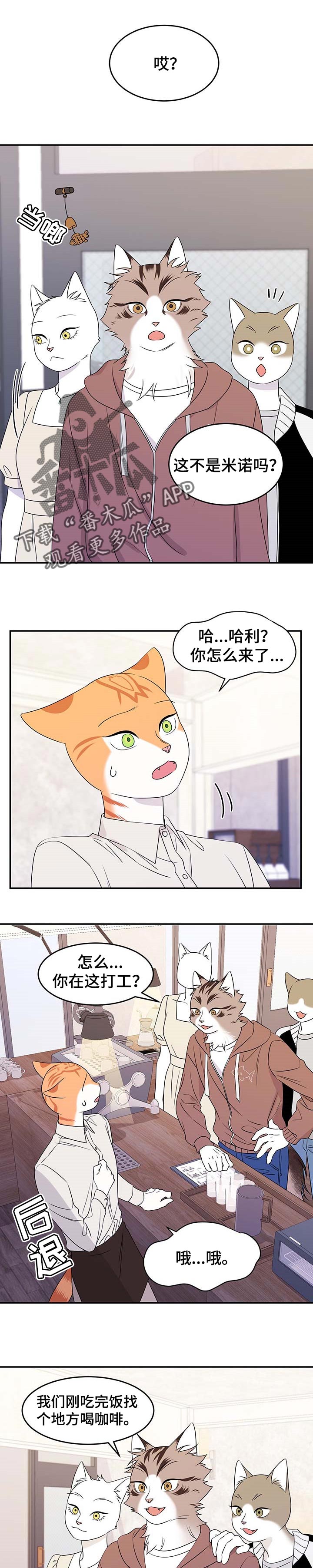 灵猫欧米伽漫蛙叫什么漫画,第23话1图